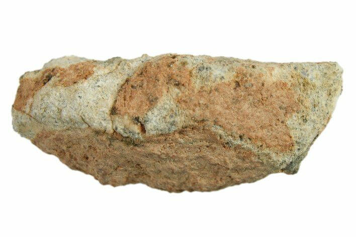 Lunar Meteorite ( g) - Bechar #288463